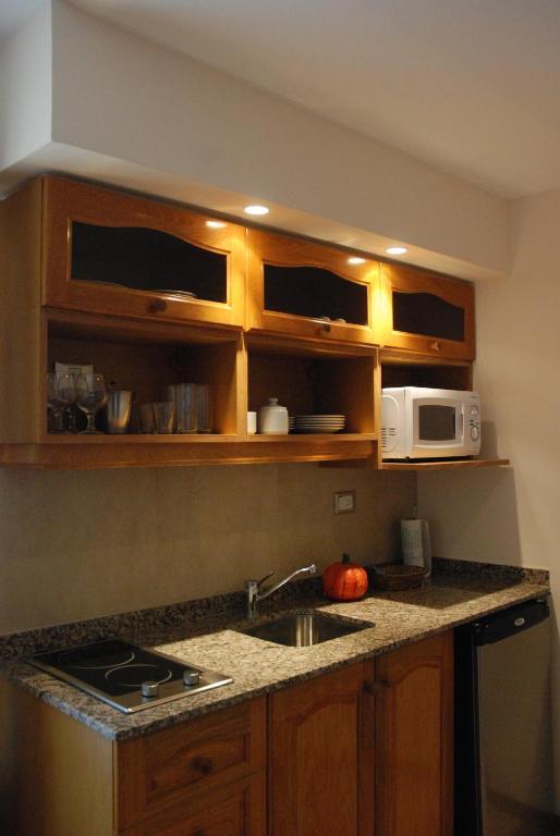Patagonia Suites Трелью Номер фото
